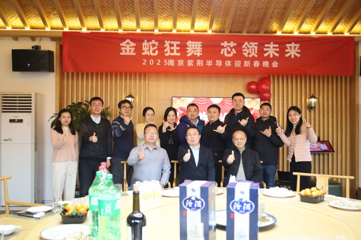 金蛇狂舞 芯领未来 | 紫荆半导体新春晚会成功举行